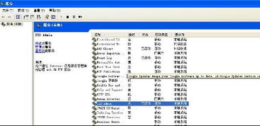 为什么Internet信息服务中没有项目显示？